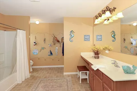 Bath - 407 W Amberside Dr, Elgin, IL 60124 photo 3 of 6