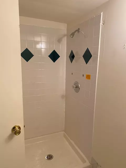 Bath - 8315 S Dante Ave, Chicago, IL 60619 photo 5 of 5