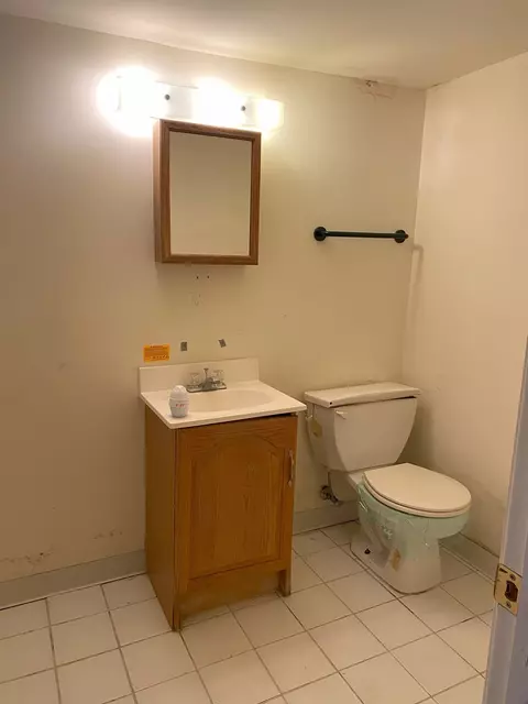 Bath - 8315 S Dante Ave, Chicago, IL 60619 photo 4 of 5