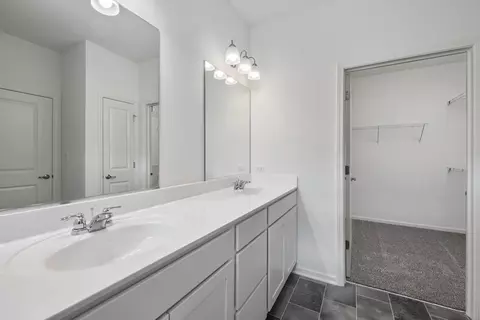 Bath - 1324 Wild Tulip Cir, Bartlett, IL 60103 photo 4 of 5