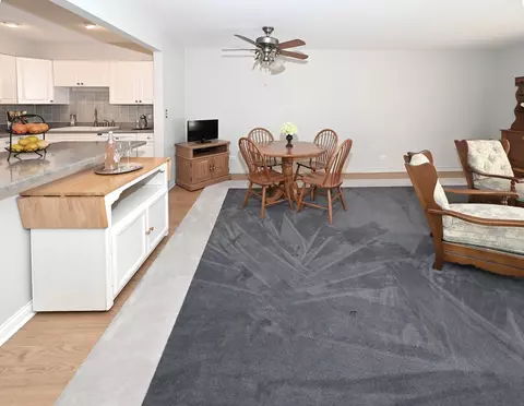 711 S River Rd #206, Des Plaines, IL 60016 photo 11