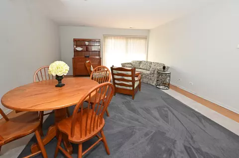 711 S River Rd #206, Des Plaines, IL 60016 photo 9