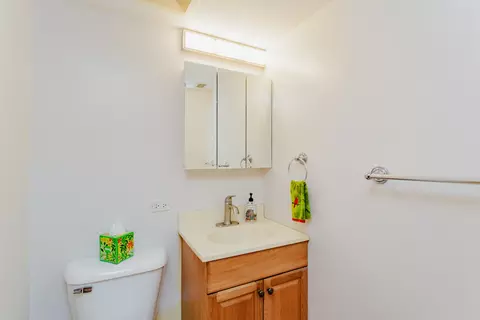 Bath - 531 Harvard Ln, Hoffman Estates, IL 60169 photo 4 of 4