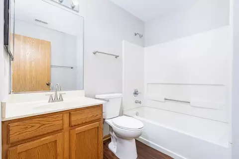 Bath - 13950 Edgewater Ct, Plainfield, IL 60544 photo 3 of 3