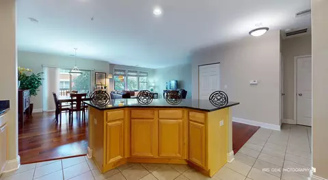 267 E Railroad Ave #208, Bartlett, IL 60103 photo 6