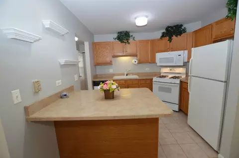 3109 River Birch Ct, Mchenry, IL 60051 photo 7