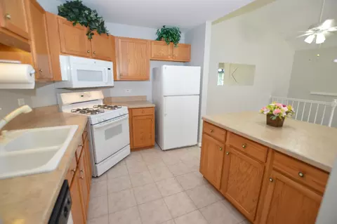 3109 River Birch Ct, Mchenry, IL 60051 photo 6