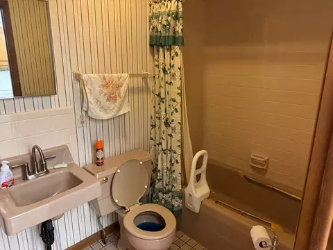 Bath - 206 S Pine St, Delavan, IL 61734 photo 1 of 3