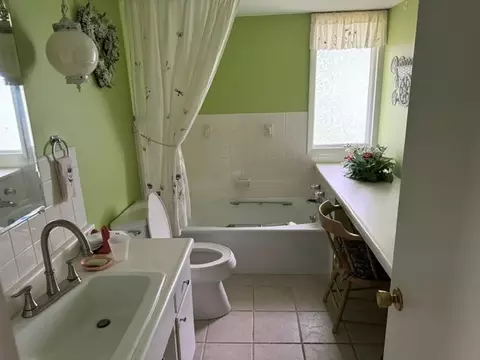 Bath - 206 S Pine St, Delavan, IL 61734 photo 2 of 3