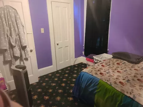 Bedroom - 108 N Pine St, Buda, IL 61314 photo 3 of 3