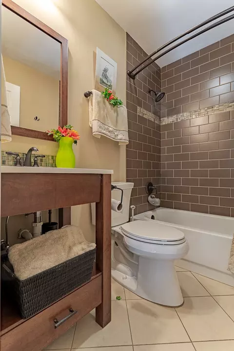 Bath - 1170 Downing Dr, Hoffman Estates, IL 60192 photo 3 of 4