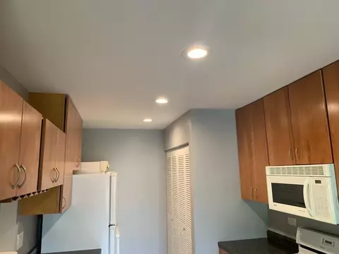 1668 Williamsburg Ct #A, Wheaton, IL 60189 photo 25