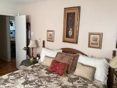 Bedroom - 1718 E 87th Pl, Chicago, IL 60617 photo 2 of 4
