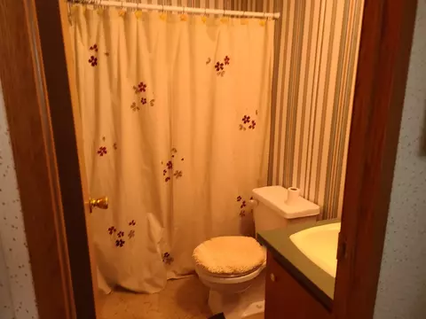 Bath - 311 Gary St, Leonore, IL 61332 photo 1 of 1