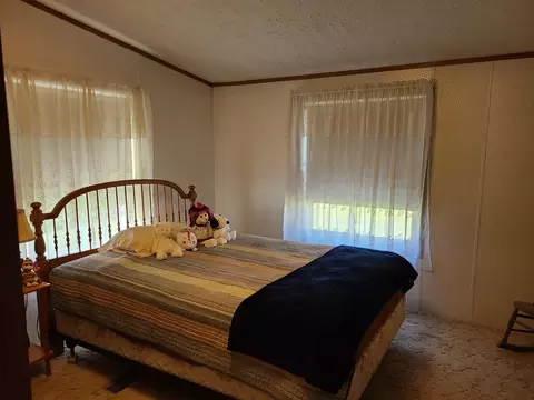 Bedroom - 311 Gary St, Leonore, IL 61332 photo 2 of 2