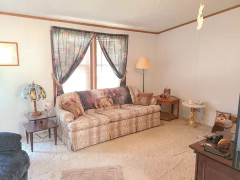 Living - 311 Gary St, Leonore, IL 61332 photo 3 of 3