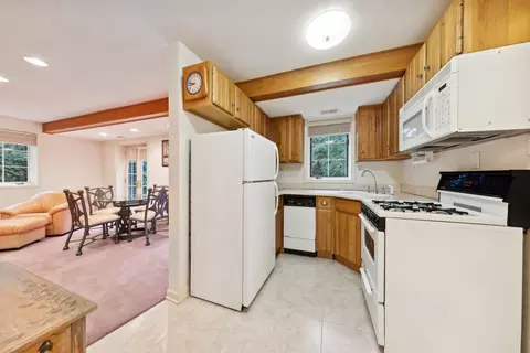 9 S175 Drew Ave, Burr Ridge, IL 60527 photo 47
