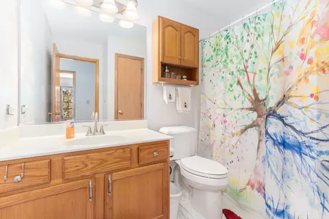 Bath - 7216 Sutherland Dr, Plainfield, IL 60586 photo 2 of 3