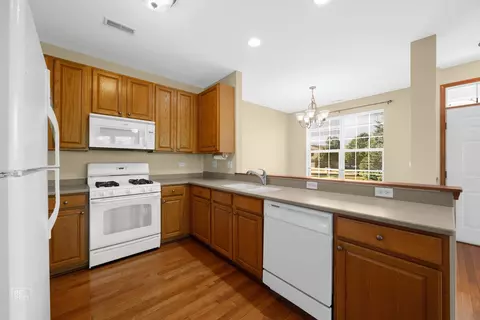 1611 Millbrook Dr #1611, Algonquin, IL 60102 photo 5