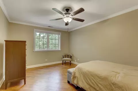 Bedroom - 9821 Elm Ter, Des Plaines, IL 60016 photo 3 of 7
