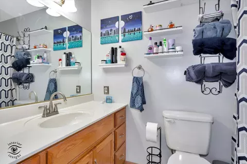 175 E First St, Manteno, IL 60950 photo 14