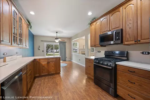 21141 W Cypress Ct, Plainfield, IL 60544 photo 9