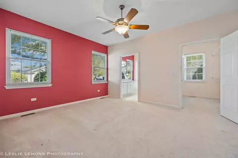 21141 W Cypress Ct, Plainfield, IL 60544 photo 11