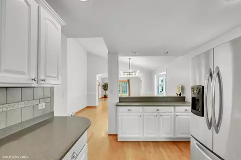 1133 Davis Ave, Deerfield, IL 60015 photo 10