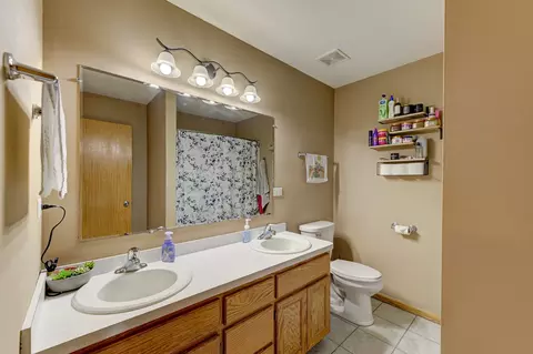 Bath - 1381 Somerset Dr, Beecher, IL 60401 photo 2 of 3