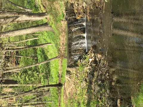 Other - 225 Brookbridge Rd, Trout Valley, IL 60013 photo 9 of 10