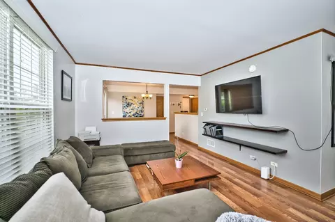 Living - 778 Symphony Dr, Aurora, IL 60504 photo 2 of 5
