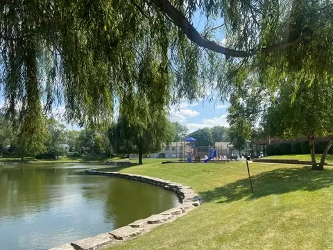1100 Mount Vernon Ct #C, Wheaton, IL 60189 photo 27