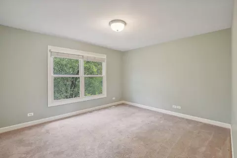 12825 Pintail Rd, Plainfield, IL 60585 photo 30