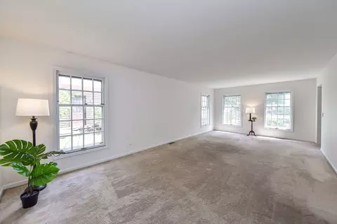 1191 E Gartner Rd, Naperville, IL 60540 photo 7