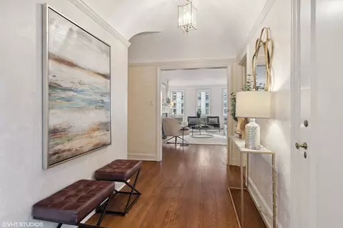 70 E Cedar St #9W, Chicago, IL 60611 photo 5
