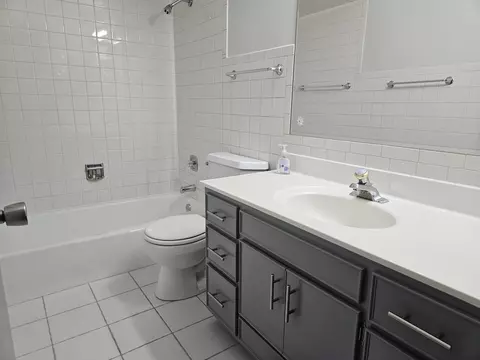 Bath - 12109 S Laramie Ave #2B, Alsip, IL 60803 photo 1 of 2