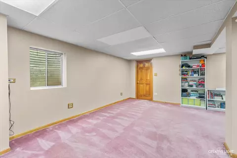 428 Monarch Birch Ln, Bartlett, IL 60103 photo 23
