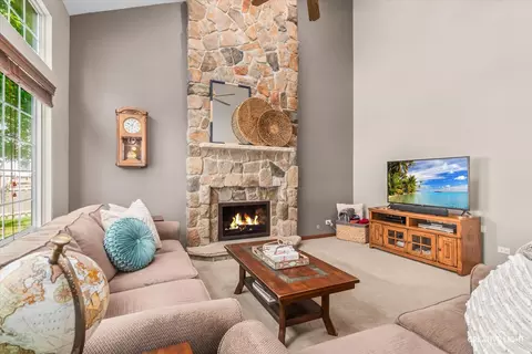 428 Monarch Birch Ln, Bartlett, IL 60103 photo 9