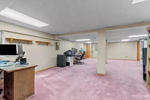 428 Monarch Birch Ln, Bartlett, IL 60103 photo 21