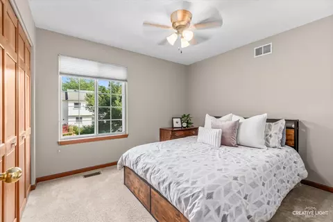 428 Monarch Birch Ln, Bartlett, IL 60103 photo 19
