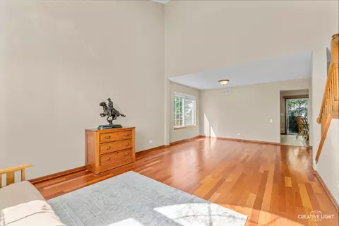 428 Monarch Birch Ln, Bartlett, IL 60103 photo 5