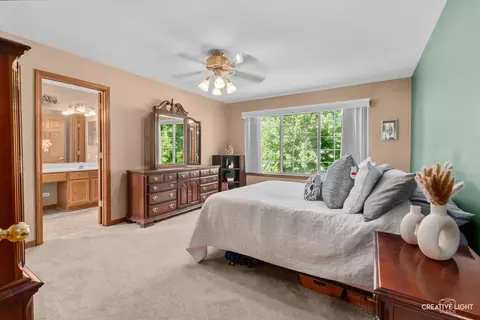 428 Monarch Birch Ln, Bartlett, IL 60103 photo 16