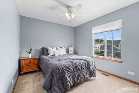 428 Monarch Birch Ln, Bartlett, IL 60103 photo 20