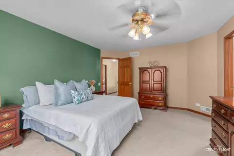 428 Monarch Birch Ln, Bartlett, IL 60103 photo 17