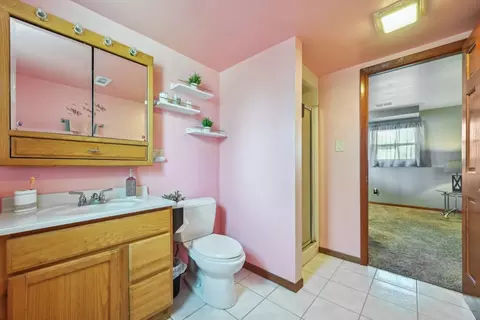 6605 Peyla Ln, Plainfield, IL 60586 photo 19