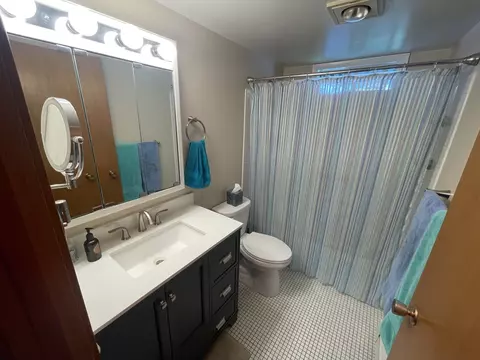 Bath - 507 N Lyle Ave, Donovan, IL 60931 photo 1 of 1