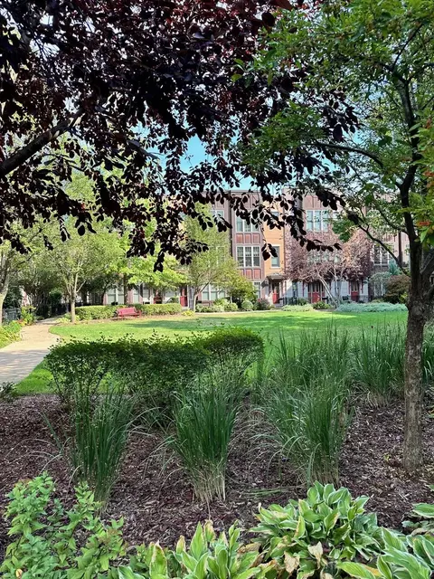 3003 W Cornelia Ave, Chicago, IL 60618 photo 19