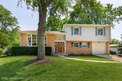 163 N Winston Dr, Palatine, IL 60074