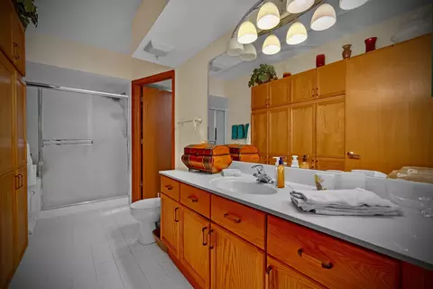 1477 E Thacker St #404, Des Plaines, IL 60016 photo 18