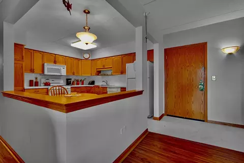 1477 E Thacker St #404, Des Plaines, IL 60016 photo 12